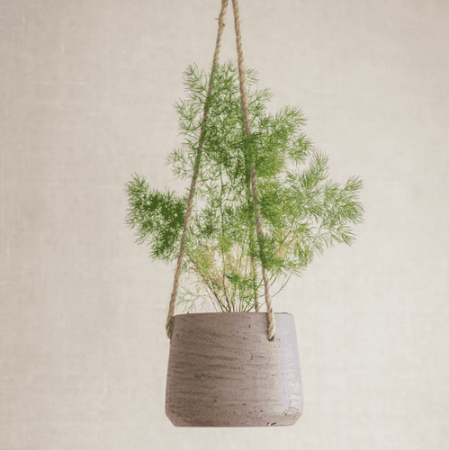 Hanging Plant Pot - Clay
