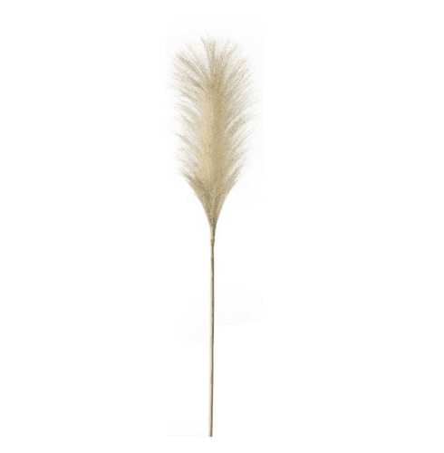 Tall Feather Stems - Blush - Pack of 5