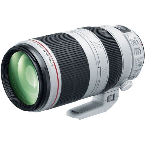 Canon EF 100-400mm f4.5-5.6L IS II USM + Hoya Filter and Cleaning Kit