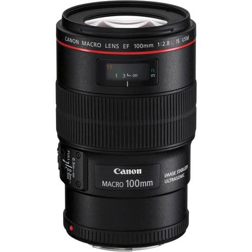 Canon EF 100mm f/2.8L Macro IS USM,,digital camcorder,SLR DIGITAL CAMERA, digital camera, camcorder, camera, hd, lenses, CAMCODER ACCESSORIES, ACCESSORIES