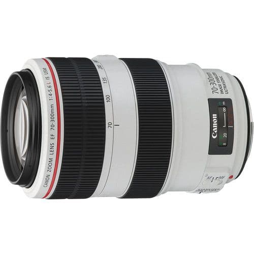 Canon EF 70-300mm f/4.0-5.6 L IS USM + Hoya Filter and Cleaning Kit