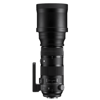 Sigma 150-600mm F5-6.3 DG OS HSM | S | Canon Fit